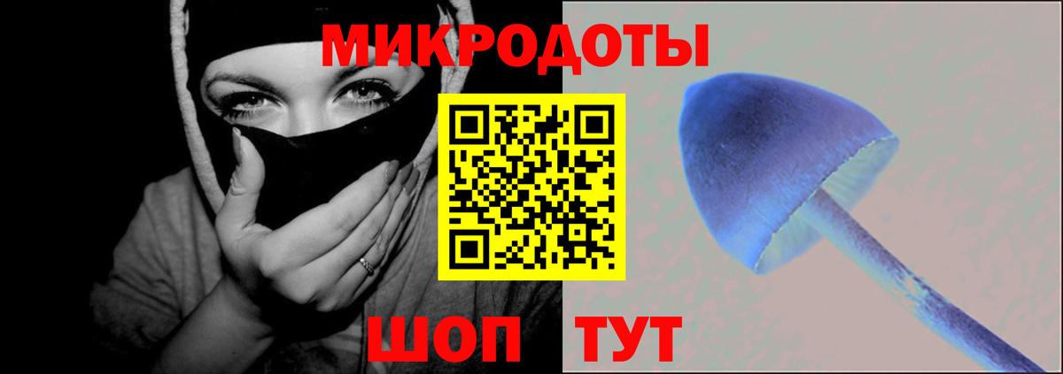 Галлюциногенные грибы GOLDEN TEACHER  Вход с VPN  Галлюциногенные грибы Psilocybine cubensis  Карабулак 